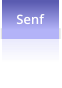 Senf