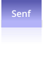 Senf